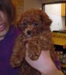 Thumbnail of post image 120