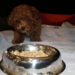 Thumbnail of post image 083