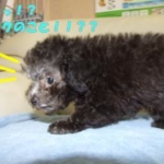 Thumbnail of post image 180