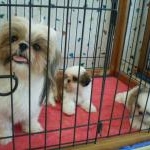 Thumbnail of post image 196