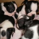 Thumbnail of post image 085