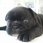 Thumbnail of post image 140