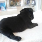 Thumbnail of post image 032