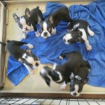 Thumbnail of post image 004