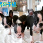 Thumbnail of post image 026