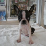 Thumbnail of post image 165