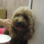 Thumbnail of post image 054