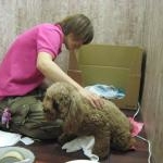 Thumbnail of post image 074