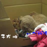 Thumbnail of post image 093