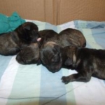 Thumbnail of post image 046