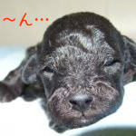 Thumbnail of post image 082