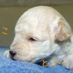 Thumbnail of post image 003