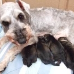 Thumbnail of post image 011