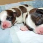 Thumbnail of post image 198