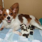 Thumbnail of post image 182