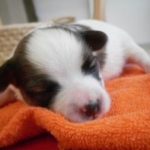 Thumbnail of post image 016