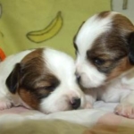 Thumbnail of post image 075