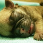 Thumbnail of post image 014