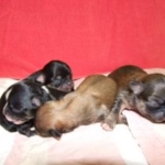 Thumbnail of post image 098