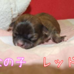 Thumbnail of post image 194