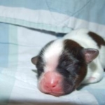 Thumbnail of post image 052