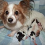 Thumbnail of post image 034