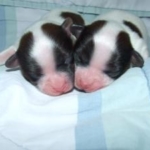 Thumbnail of post image 051