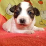 Thumbnail of post image 008