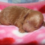 Thumbnail of post image 064