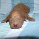 Thumbnail of post image 051