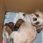 Thumbnail of post image 029