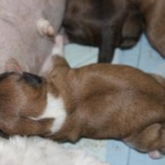 Thumbnail of post image 122