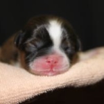 Thumbnail of post image 028