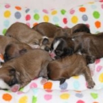 Thumbnail of post image 074