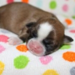 Thumbnail of post image 198