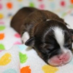 Thumbnail of post image 181