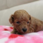 Thumbnail of post image 002