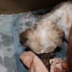 Thumbnail of post image 108