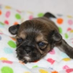 Thumbnail of post image 015