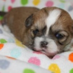 Thumbnail of post image 031