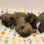 Thumbnail of post image 075