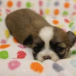 Thumbnail of post image 167