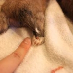 Thumbnail of post image 046