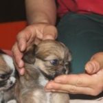 Thumbnail of post image 053