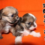 Thumbnail of post image 186