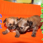 Thumbnail of post image 157