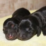 Thumbnail of post image 165