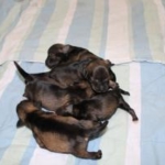 Thumbnail of post image 197