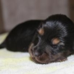 Thumbnail of post image 027