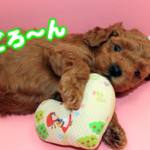 Thumbnail of post image 079